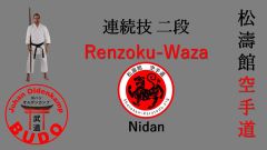 9.Renzoku No Kata